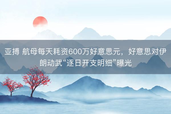 亚搏 航母每天耗资600万好意思元，好意思对伊朗动武“逐日开支明细”曝光
