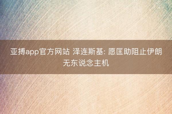 亚搏app官方网站 泽连斯基: 愿匡助阻止伊朗无东说念主机
